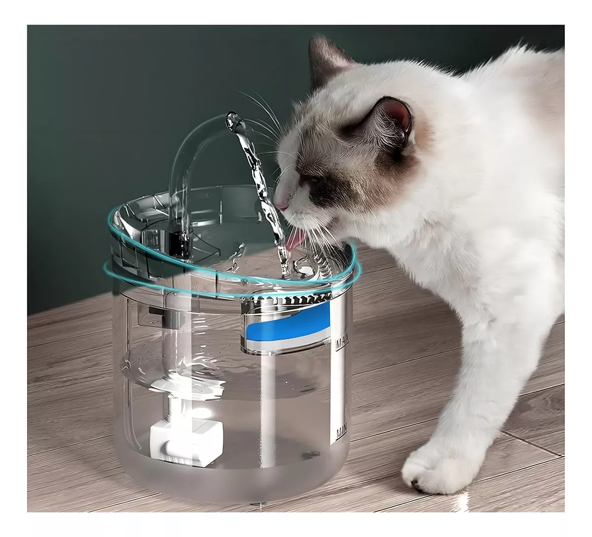 Bebedero transparente para mascotas con gato bebiendo agua