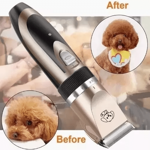 Antes y después corte de pelo mascota